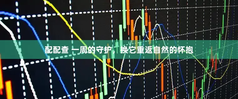 配配查 一周的守护，换它重返自然的怀抱