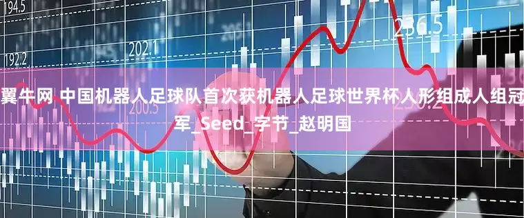 翼牛网 中国机器人足球队首次获机器人足球世界杯人形组成人组冠军_Seed_字节_赵明国