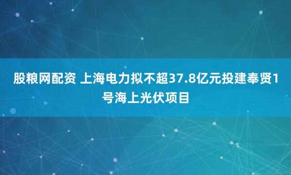 股粮网配资 上海电力拟不超37.8亿元投建奉贤1号海上光伏项目