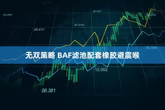 无双策略 BAF滤池配套橡胶避震喉